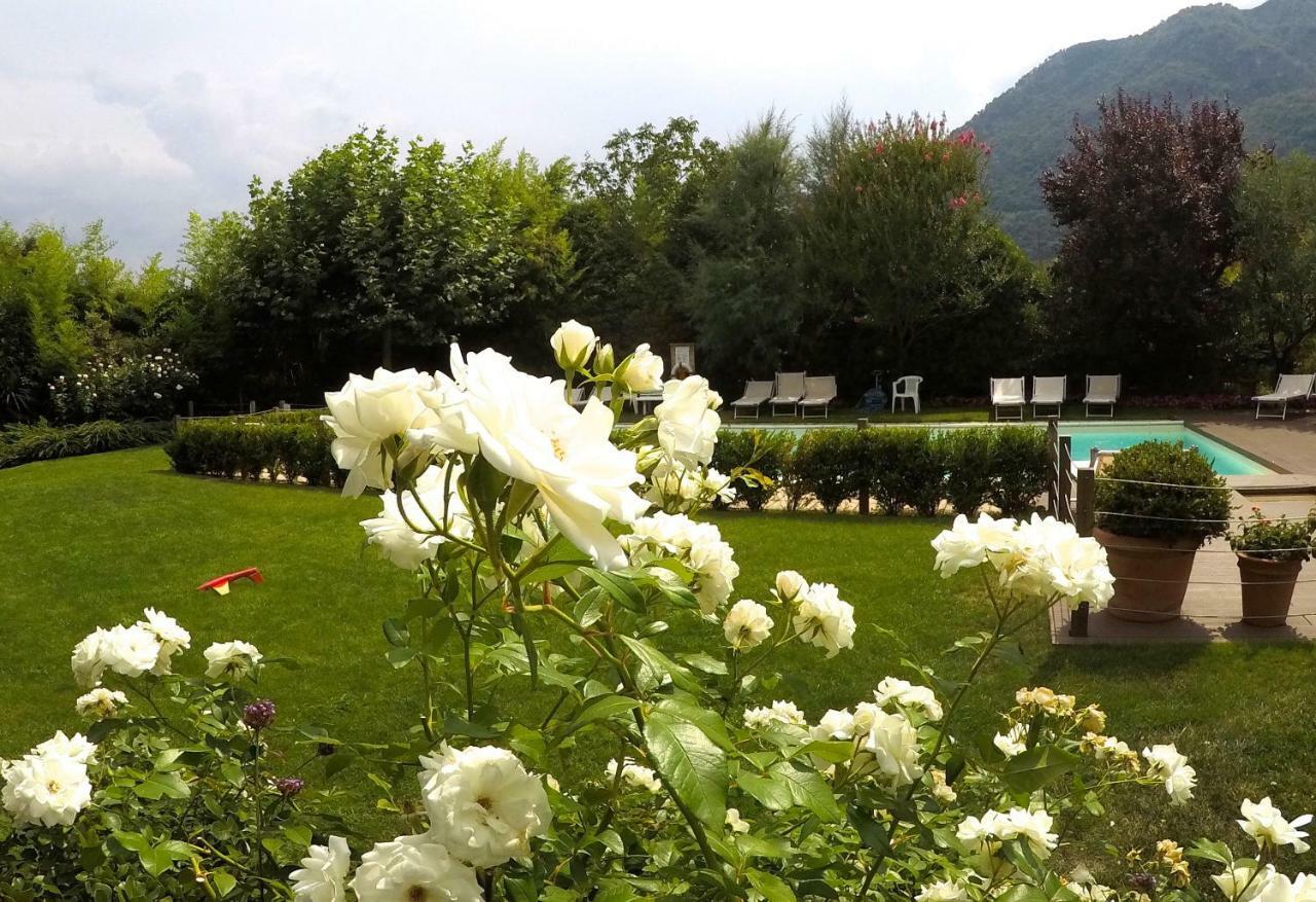 Iris 2 Lago Di Como Dongo Exteriör bild